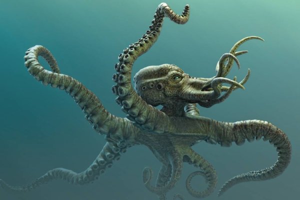 Ссылка на kraken зеркало рабочая