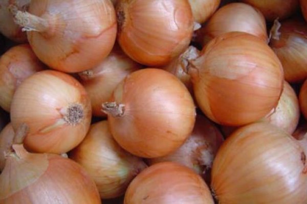 BlackSprutruzxpnew4af onion не работает в тор